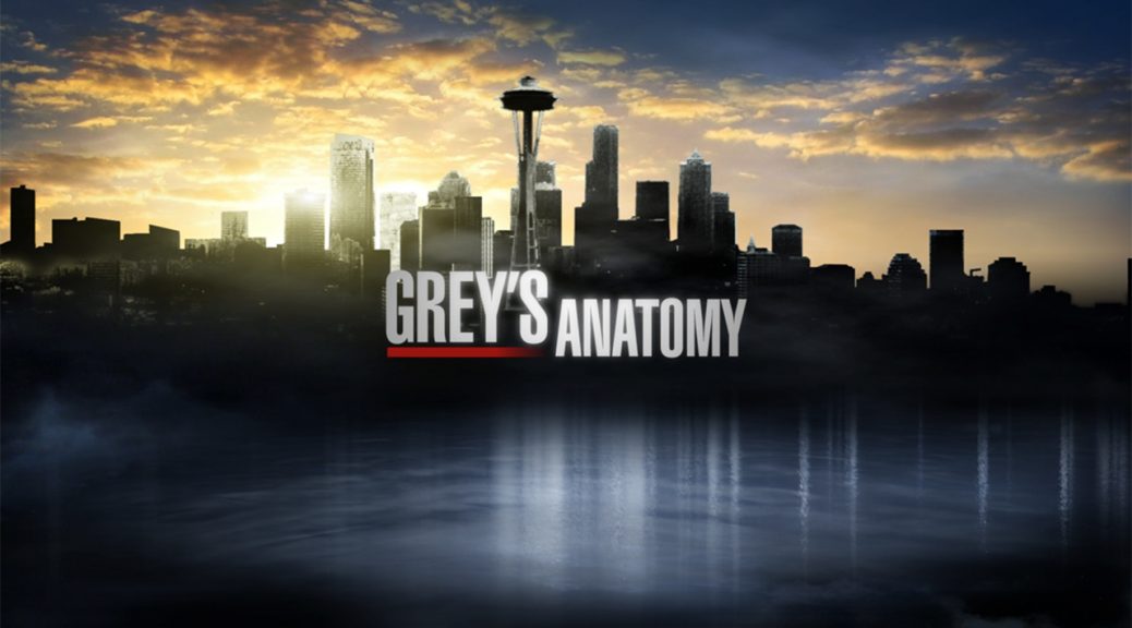 Resultado de imagem para seattle greys anatomy