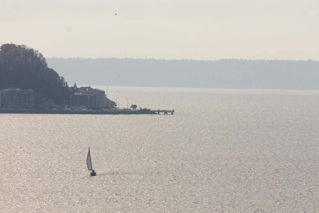 Victor Steinbrueck Park - vista de West Seattle Pike_Place_Seattle-11