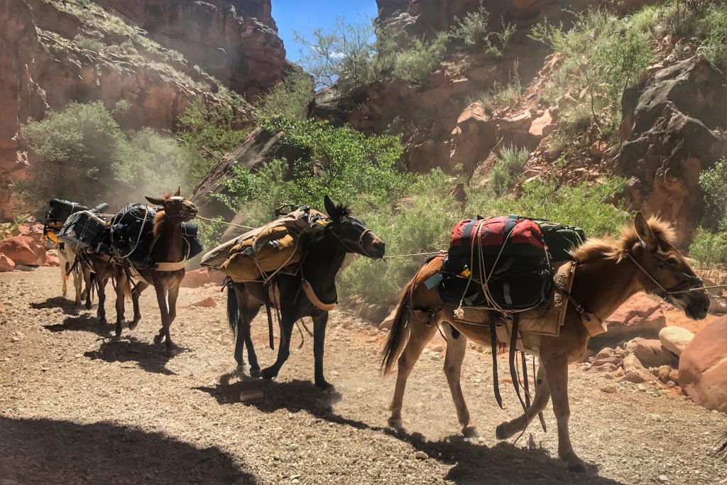 dicas de Havasu Falls